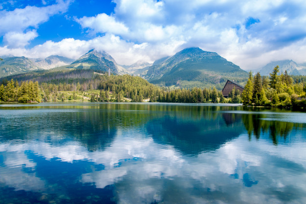 CHUYỂN PHÁT NHANH QUỐC TẾ ĐI SLOVAKIA GIÁ RẺ